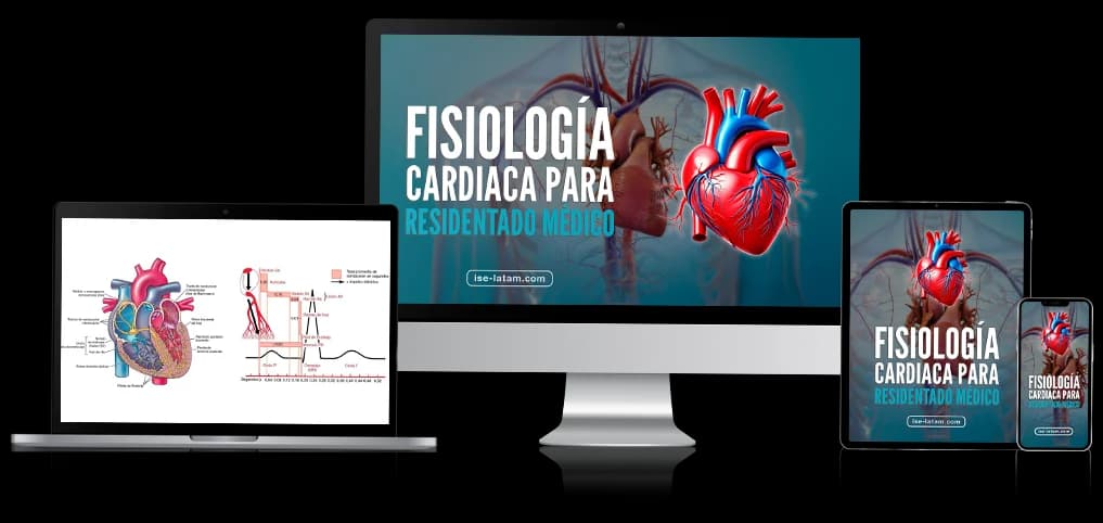 Domina la Fisiología Renal para tu Residentado Médico